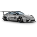 Scratched Curved Martini Side Stripes Graphic, for Carerra from 2005