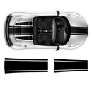 One Color Stripes Over The Top, for Audi R8 / R8 Spyder