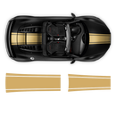 One Color Stripes Over The Top, for Audi R8 / R8 Spyder