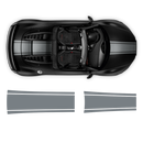 One Color Stripes Over The Top, for Audi R8 / R8 Spyder