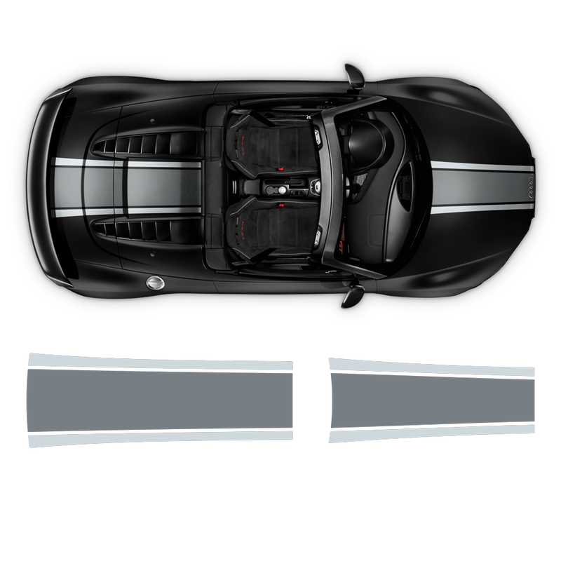 Two Colors Stripes Over The Top, for Audi R8 / R8 Spyder