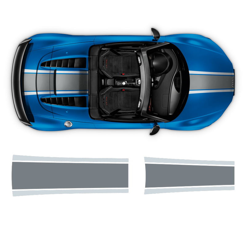 Two Colors Stripes Over The Top, for Audi R8 / R8 Spyder