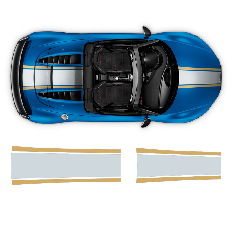 Two Colors Stripes Over The Top, for Audi R8 / R8 Spyder