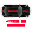 Racing Stripes in One Color, for BMW M3 / M4 / M5