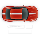 Racing Stripes in One Color, for BMW M3 / M4 / M5