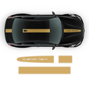 Racing Stripes in One Color, for BMW M3 / M4 / M5