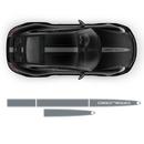 Racing Decals set in one color, for Carrera