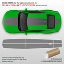 Chevrolet Camaro 2016 - 2018 Racing Stripes Over the Top