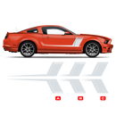 ROUSH Side Graphics, for Ford Mustang 2005 - 2014