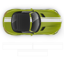 Bold Racing Stripes for MB AMG GTS yellow