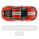 Exclusive Contoured Double Stripes Over The Top, for Carrera