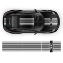 Martini Racing stripes, for Carrera ( 1999 - 2021 )