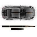 Racing Decals set in two colors, Carrera