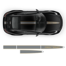 Racing Decals set in two colors, Carrera