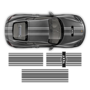 Curved Martini Decals set, for Cayman