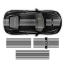 Curved Martini Decals set, for Cayman