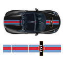 Curved Martini Decals set, for Spyder