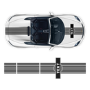 Curved Martini Decals set, for Spyder