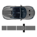 Curved Martini Decals set, for Spyder