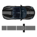 Curved Martini Decals set, for Spyder