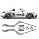 Scratched Curved Martini Side Stripes Graphic, for Cayman / Spyder