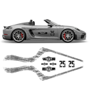 Scratched Curved Martini Side Stripes Graphic, for Cayman / Spyder