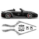 Scratched Curved Martini Side Stripes Graphic, for Cayman / Spyder