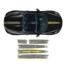 Scratched Two Colors Racing Stripes set, for Spyder 2005 - 2020