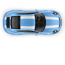 R Stripes Over The Top for Porsche Carrera black