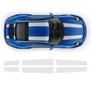 R Stripes Over The Top for Porsche Carrera black
