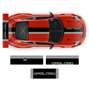Stripes Over The Top, for Porsche Carrera / Cayman / Boxster