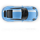 Sport Cup Edition Racing Stripes Set for Carrera